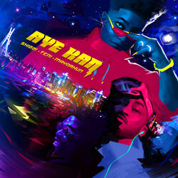 Cover of Aye Kan
