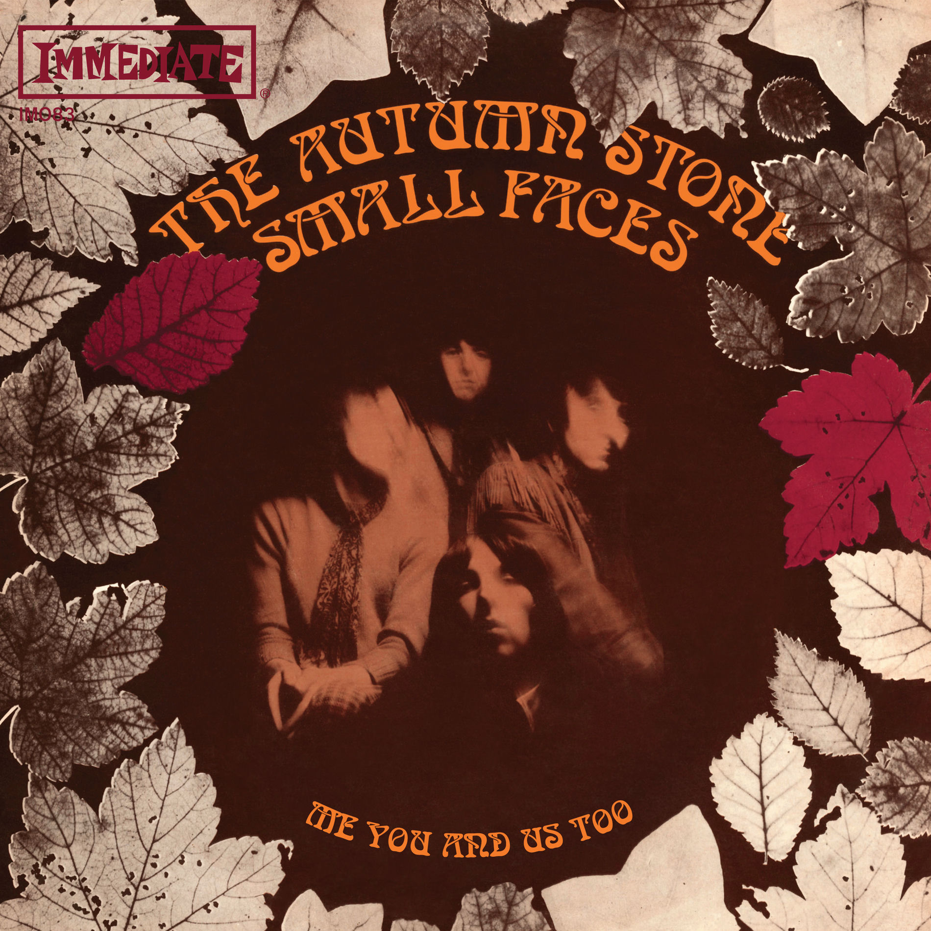 Album cover of The Autumn Stone