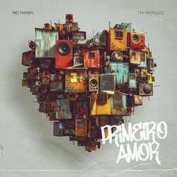 Cover of Primeiro Amor