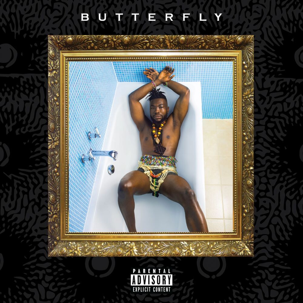 Picture of Butterfly