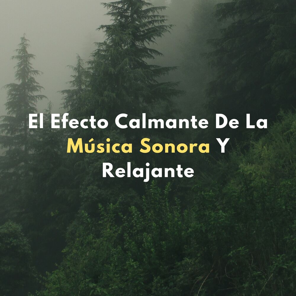 Picture of El Efecto Calmante De La Música Sonora Y Relajante