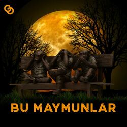 Cover of Bu Maymunlar