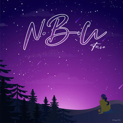 Cover of N.B.U
