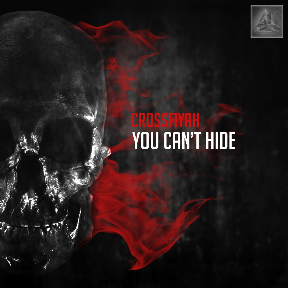 Picture of You Can't Hide