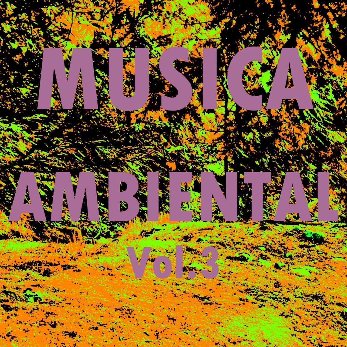 Album cover of Musica Ambiental, Vol. 3