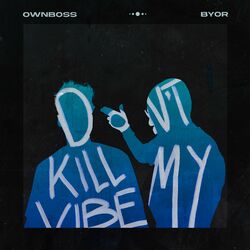 Cover of Don't Kill My Vibe