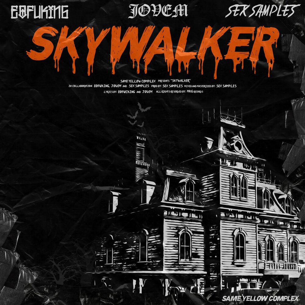 Picture of Skywalker