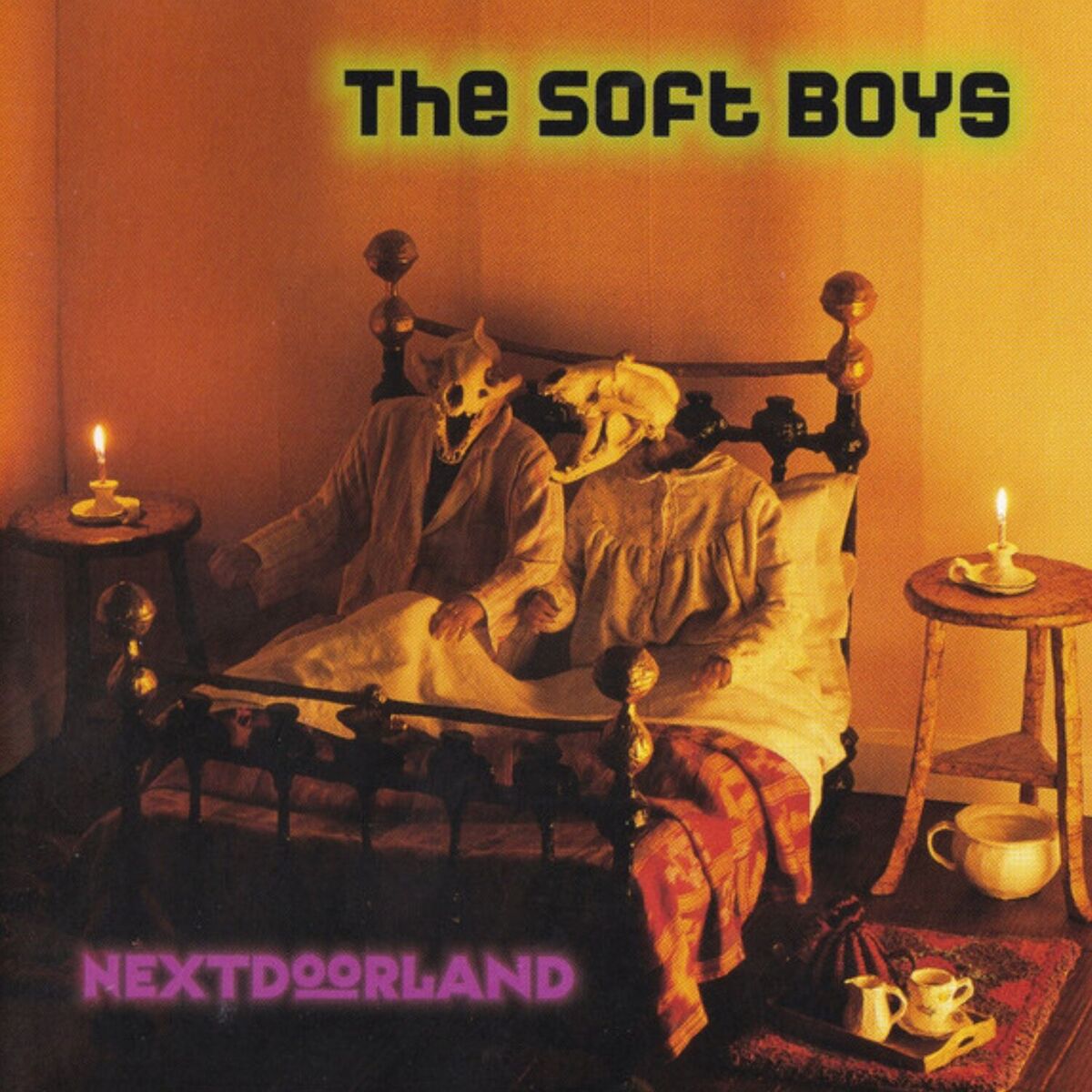 Album cover of Nextdoorland