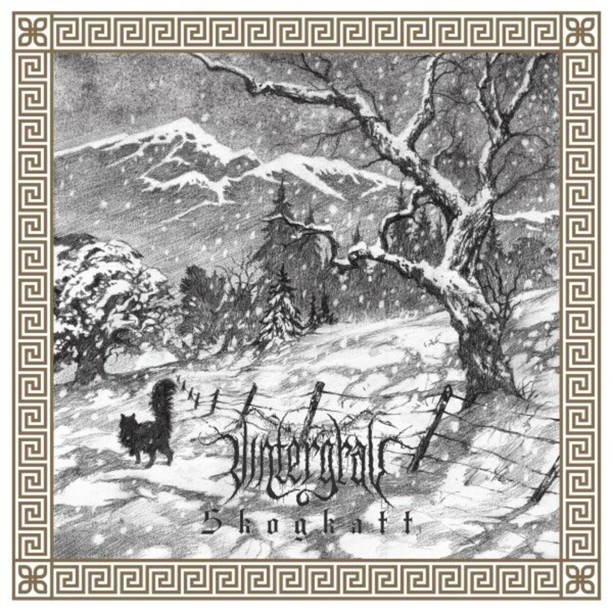 Album cover of Skogkatt