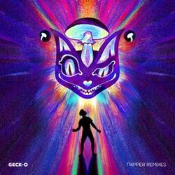 Cover of Tripper Remixes