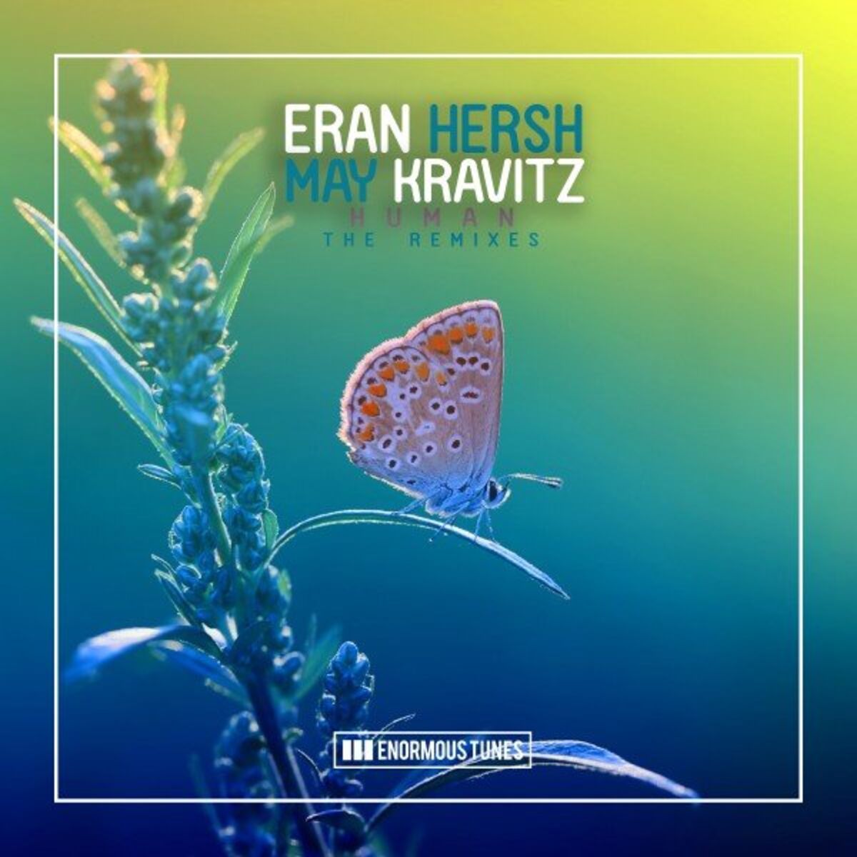 Album cover of Human (The Remixes)