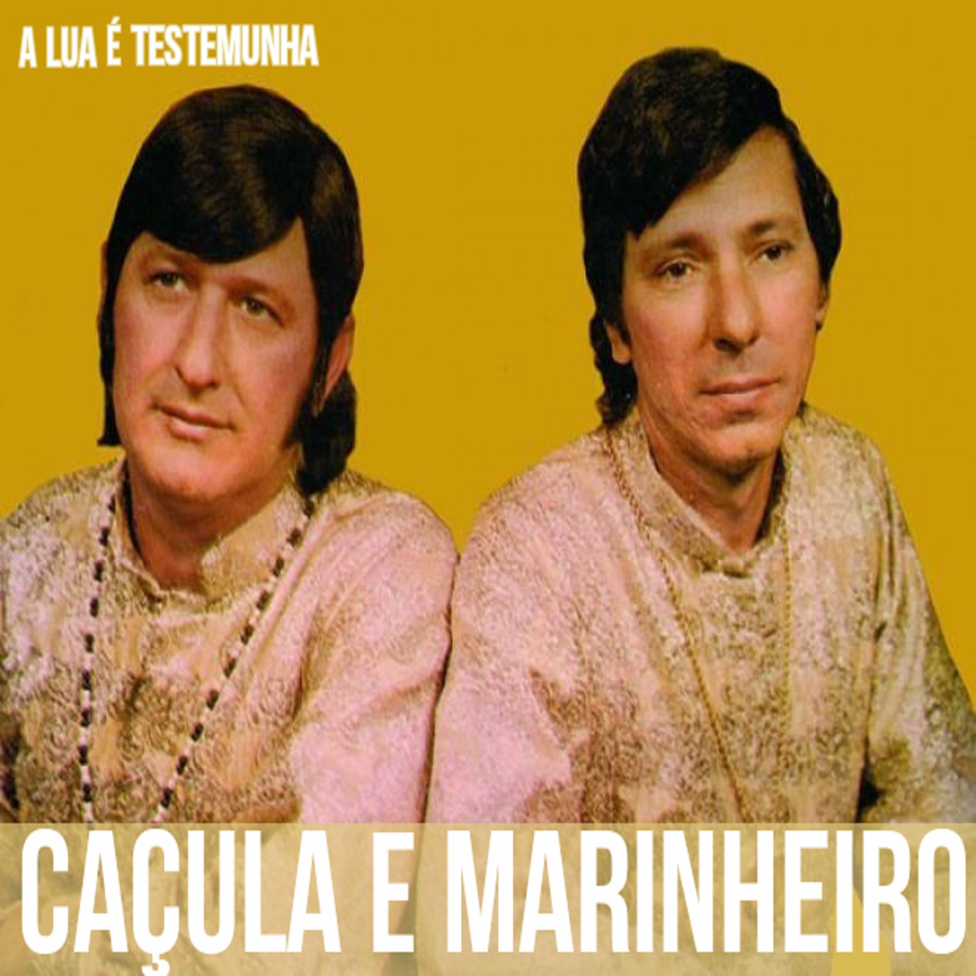 Album cover of A Lua É Testemunha