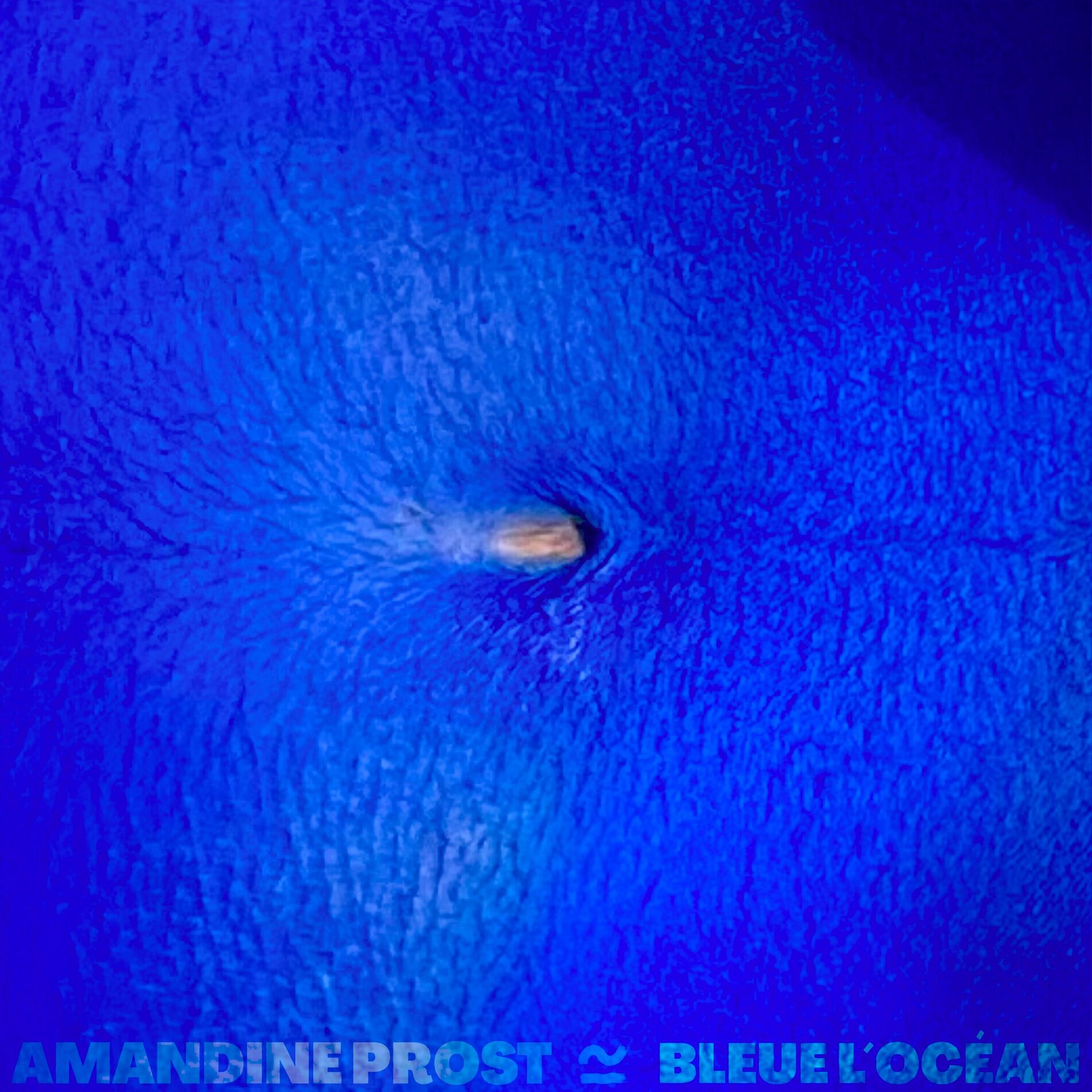 Album cover of Bleue l'Océan