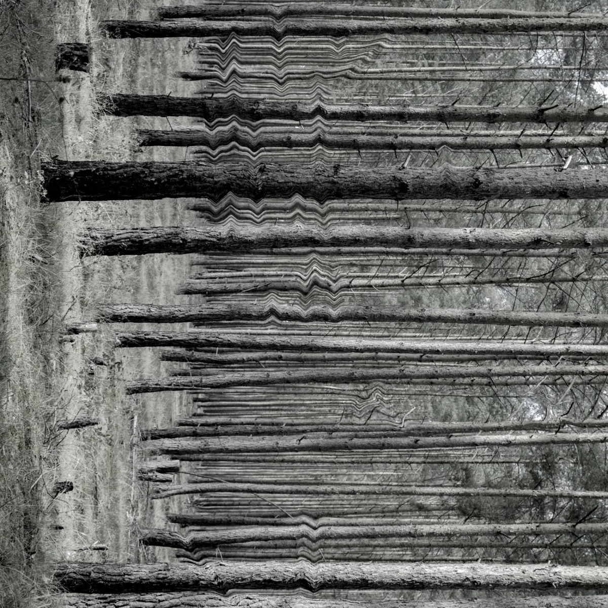 Album cover of Schattenspiele