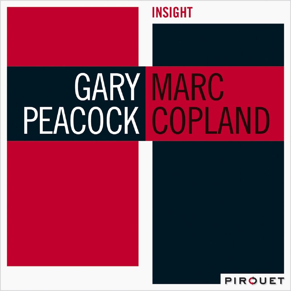 Picture of Insight