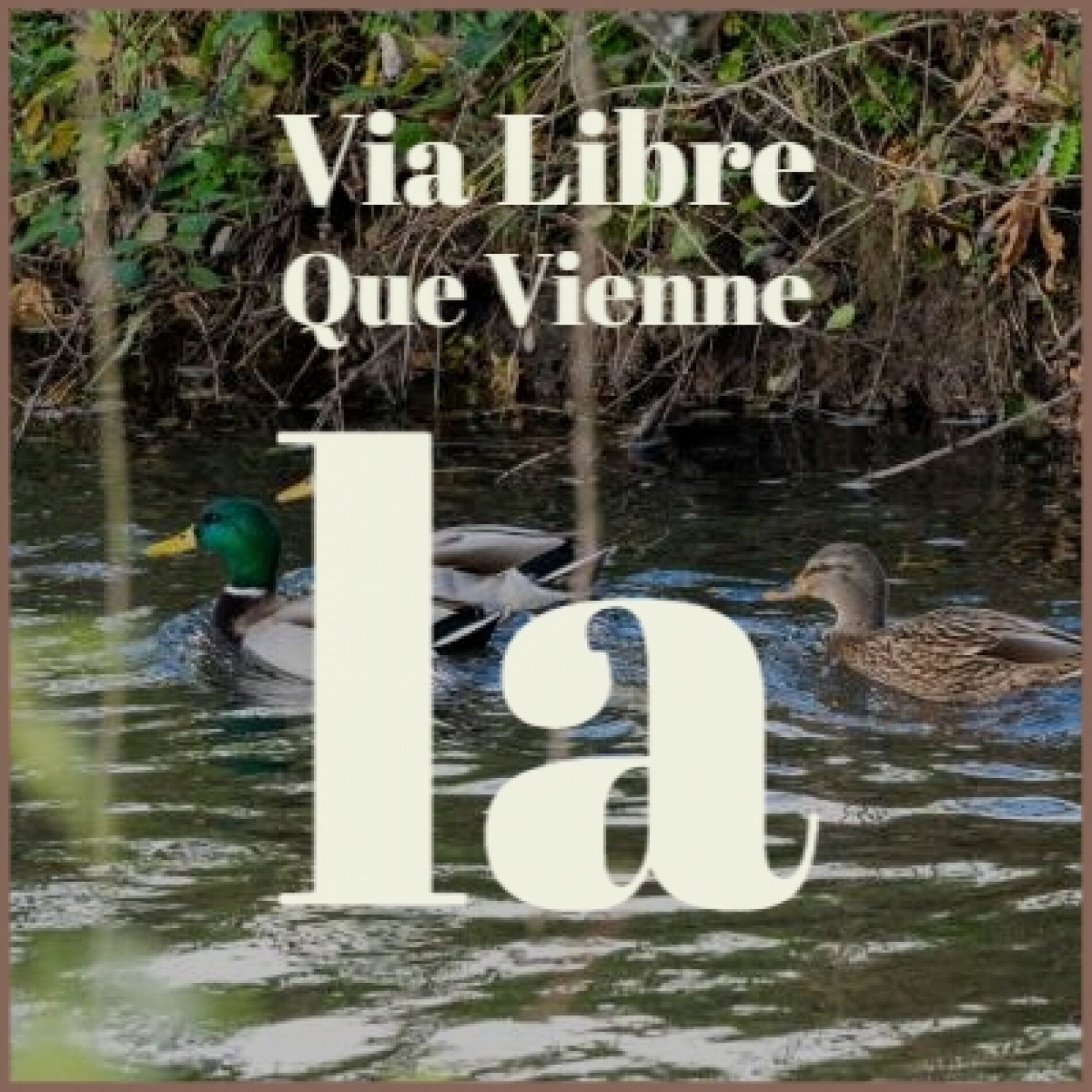Album cover of Via Libre Que Vienne la