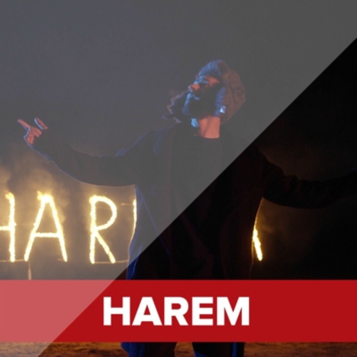 Album cover of Harem