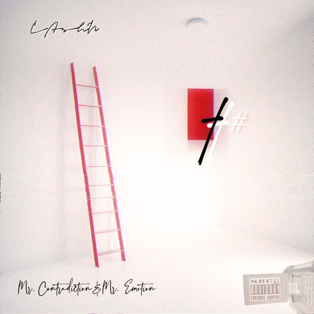 Picture of Mr. Contradiction&Mr. Emotion
