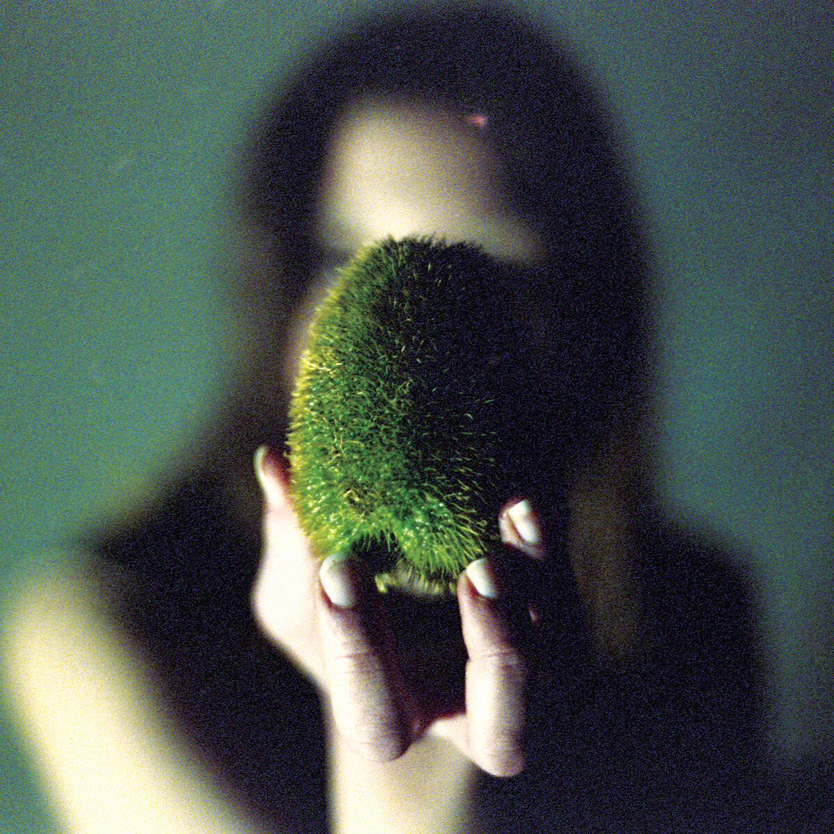 Album cover of In Plain Speech