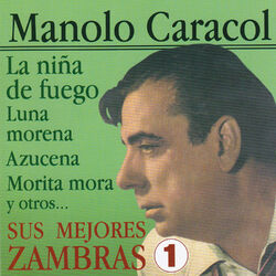 Cover of Sus Mejores Zambras Vol. 1