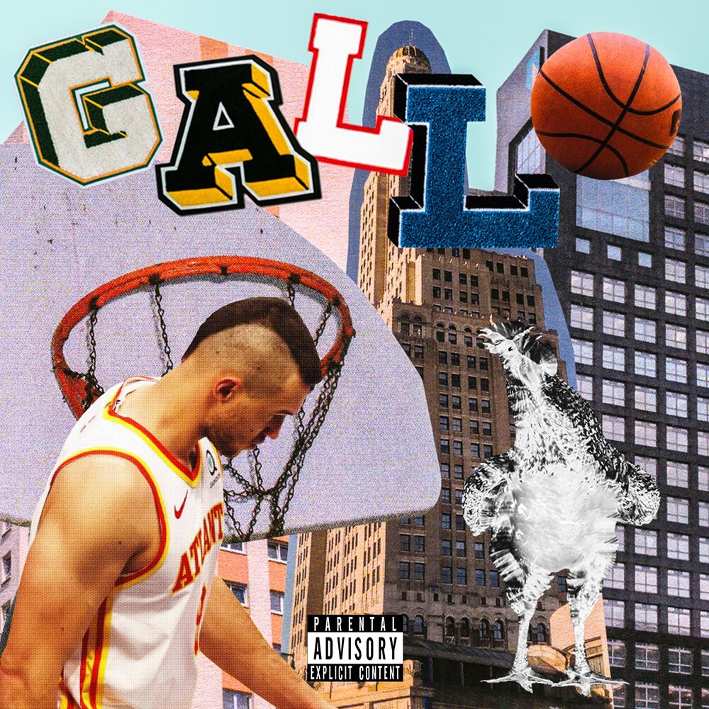 Picture of Gallo!