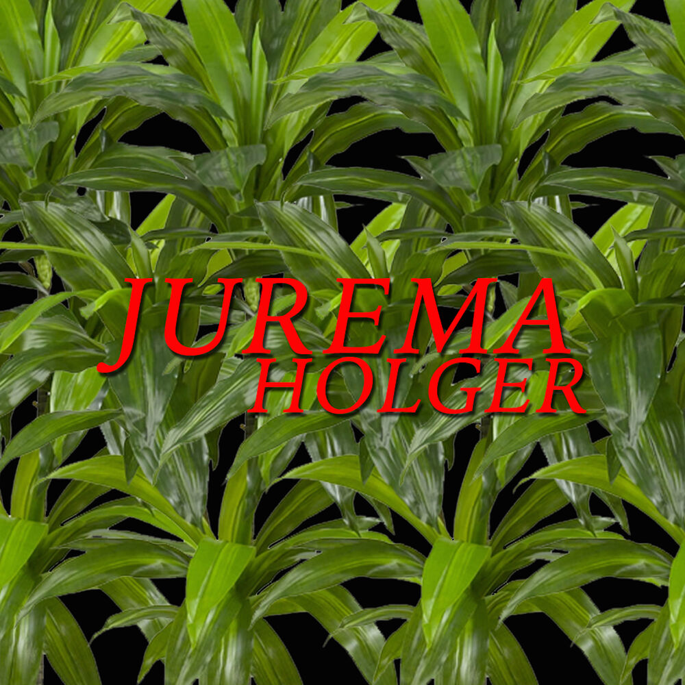 Picture of Jurema