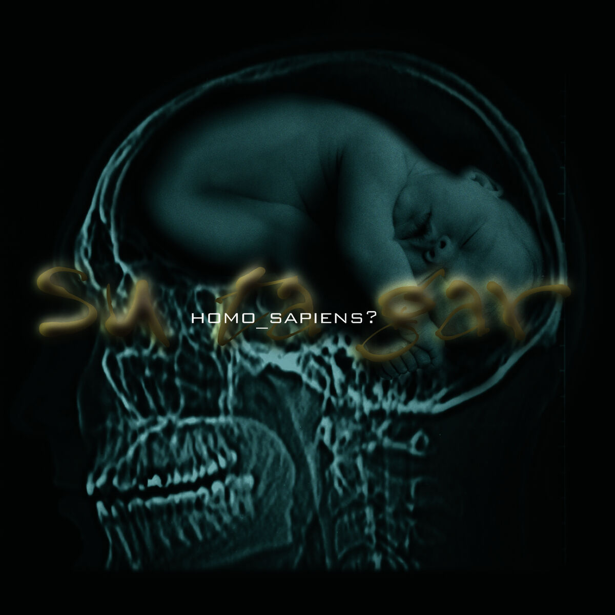 Album cover of Homo Sapiens?