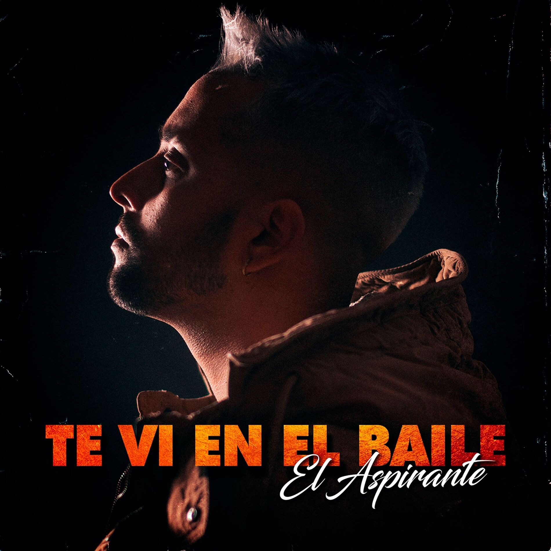 Album cover of Te vi en el baile