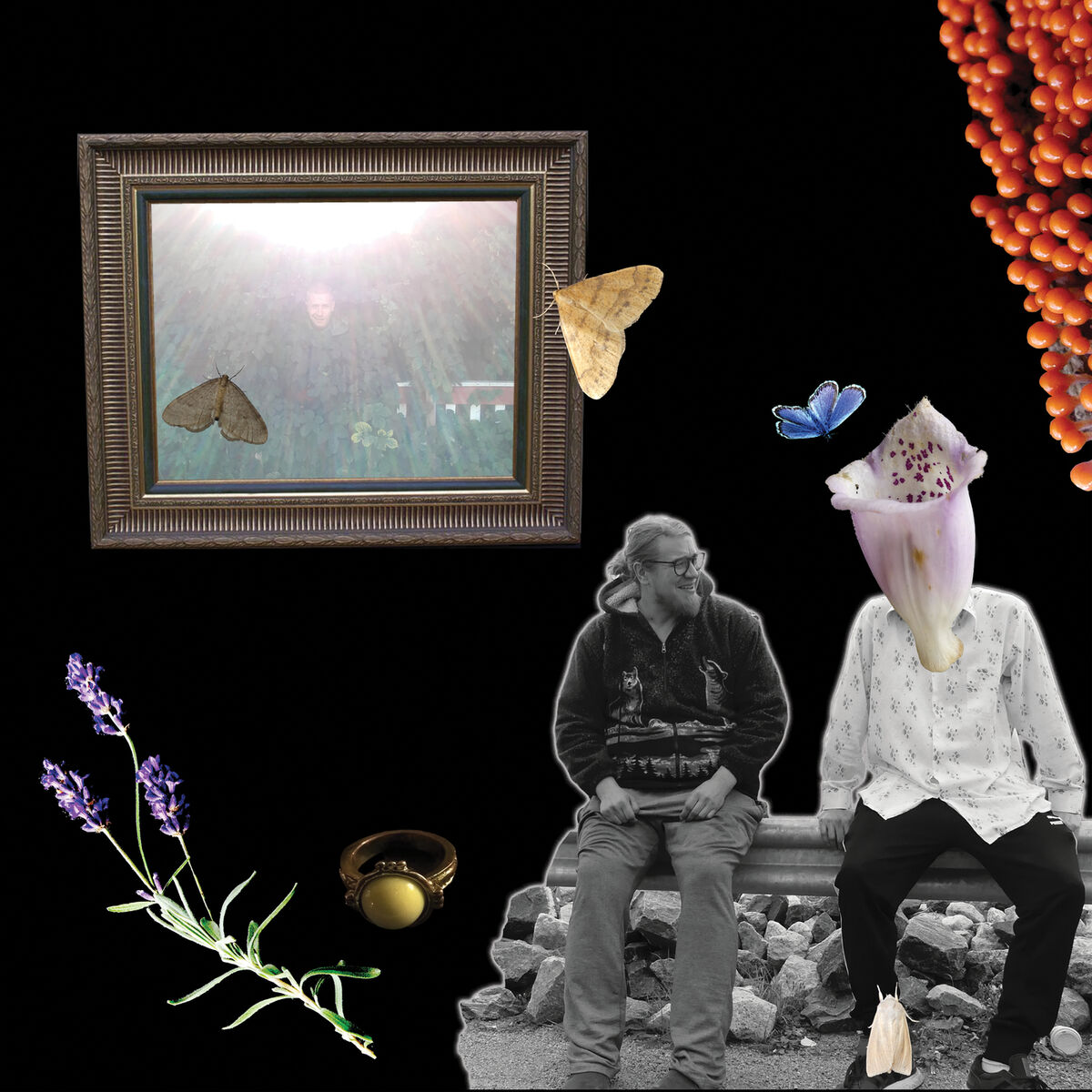Album cover of Rakkauslauluja Miehille