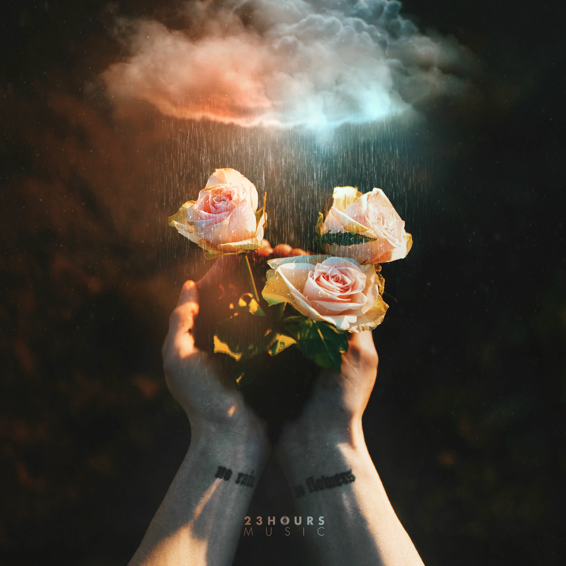 Album cover of NO RAIN NO FLOWERS