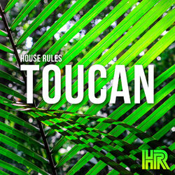 Cover of Toucan