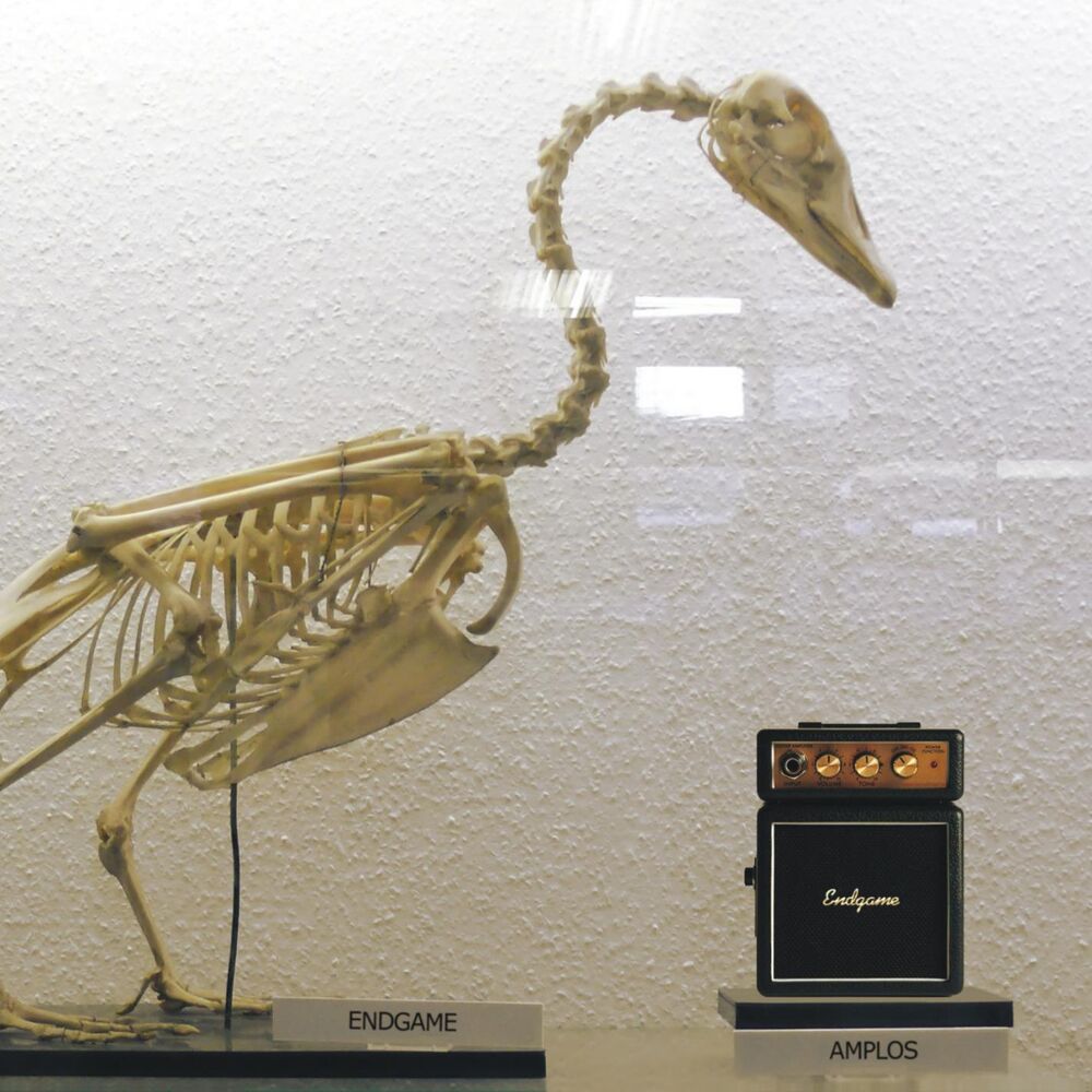 Picture of Amplos