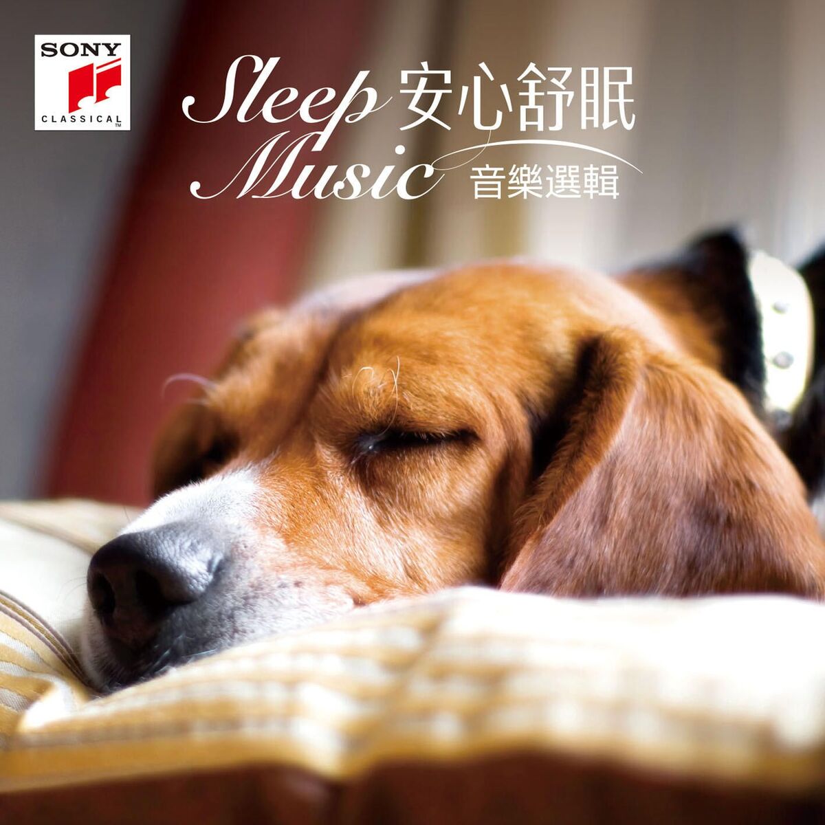 Album cover of Sleep Music