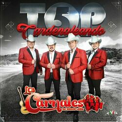 Cover of Top 5 Cardenaleando