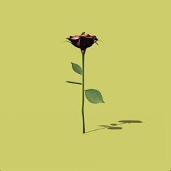 music cover