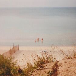 Cover of Empty and Honest