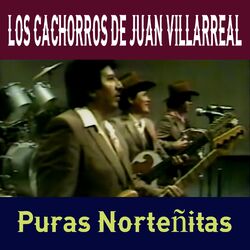 Cover of Puras Norteñitas