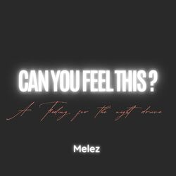 Cover of Can You Feel This