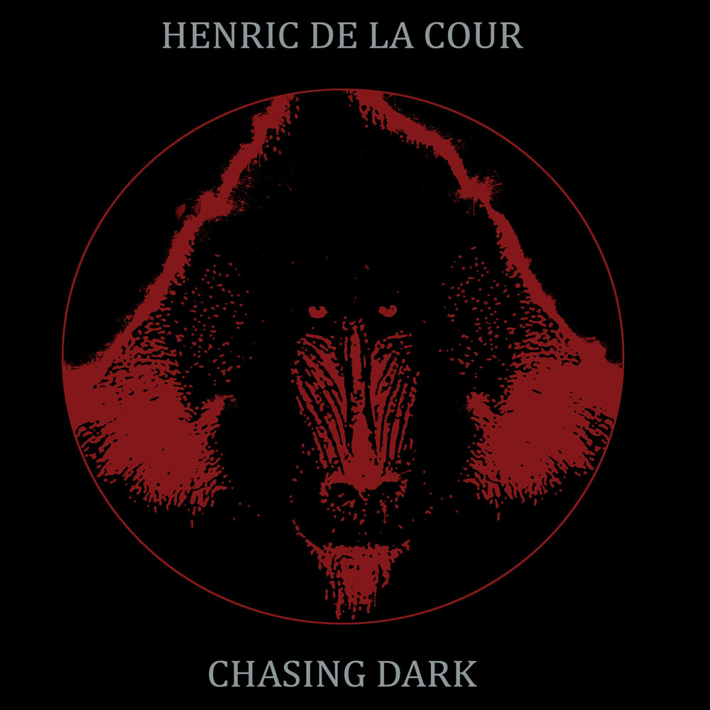 Picture of Chasing Dark