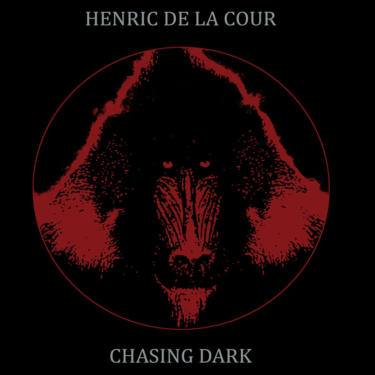 Album cover of Chasing Dark
