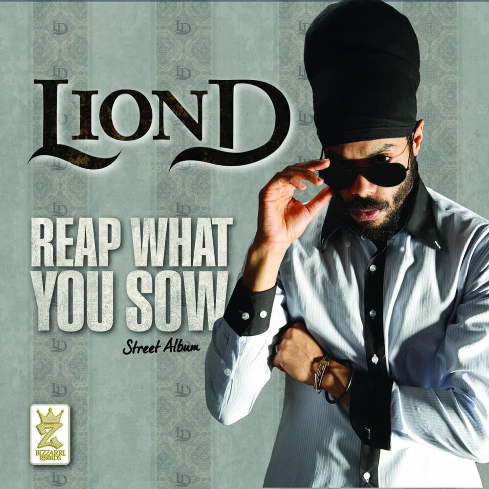 Picture of Reap What You Sow (Street Album)