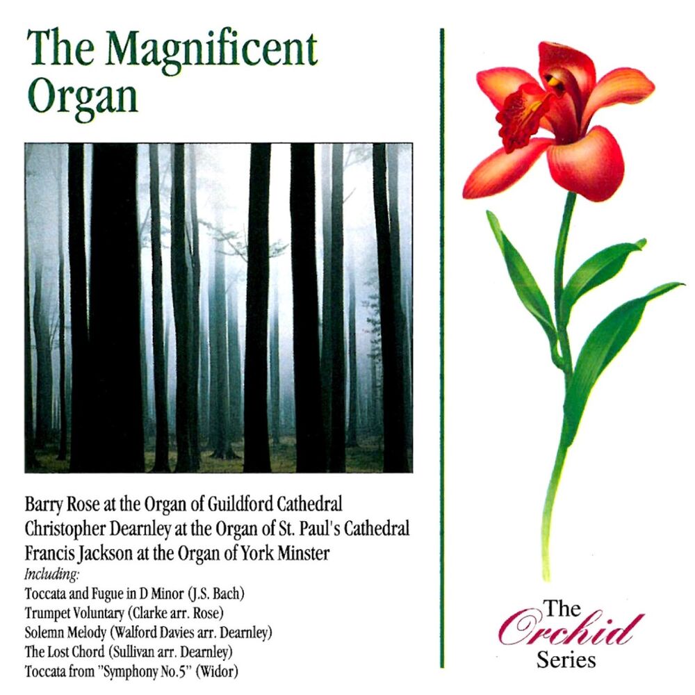 Picture of The Magnificent Organ