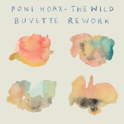 Cover of The Wild (Buvette Rework)