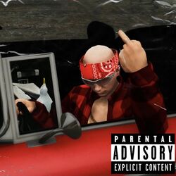 Cover of BITCHASS