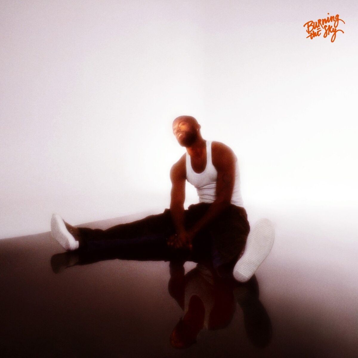 Album cover of Burning the Sky
