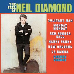 Cover of The Feel Of Neil Diamond
