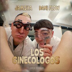 Cover of Los Ginecologos