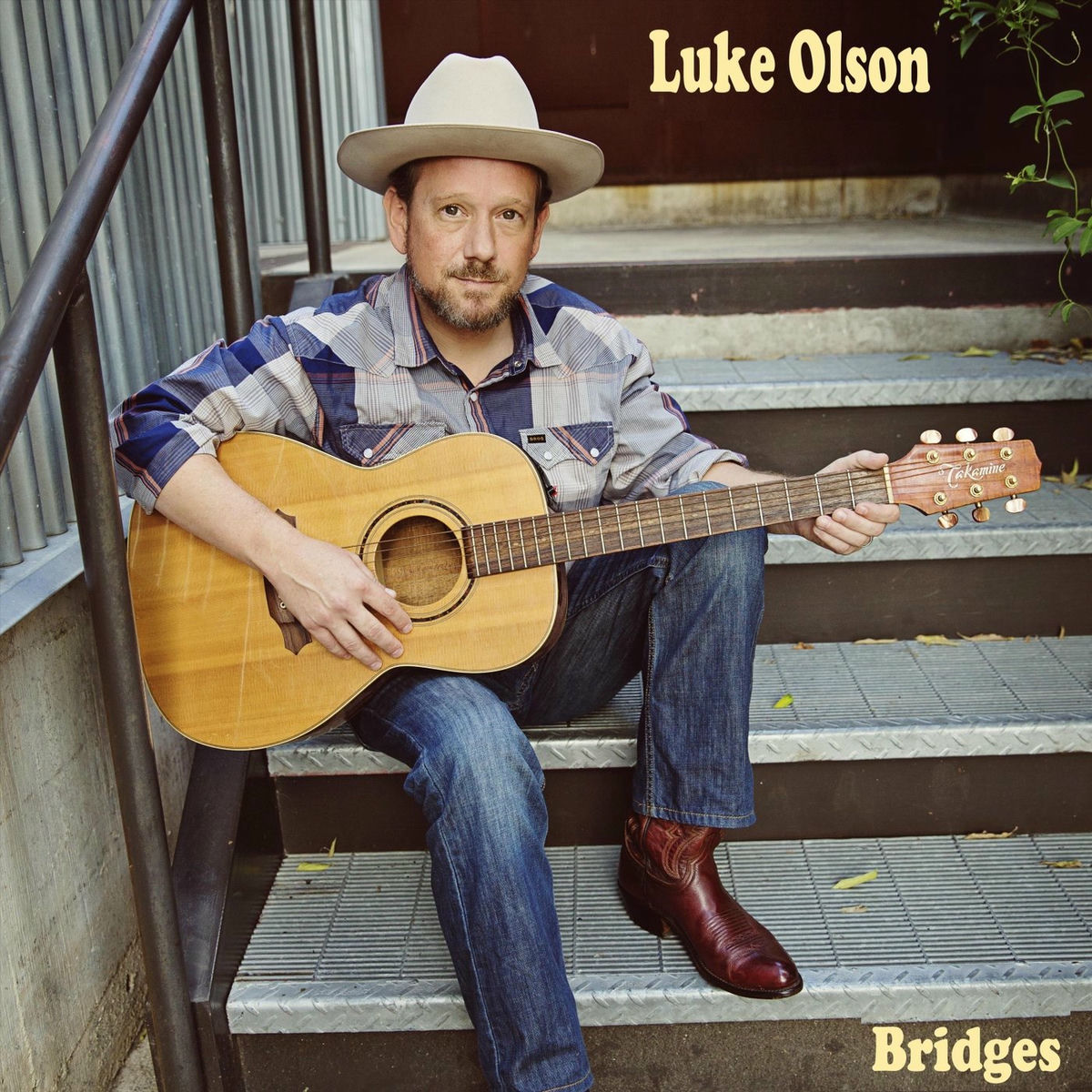 Album cover of Bridges