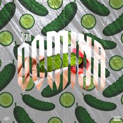 Cover of Domina