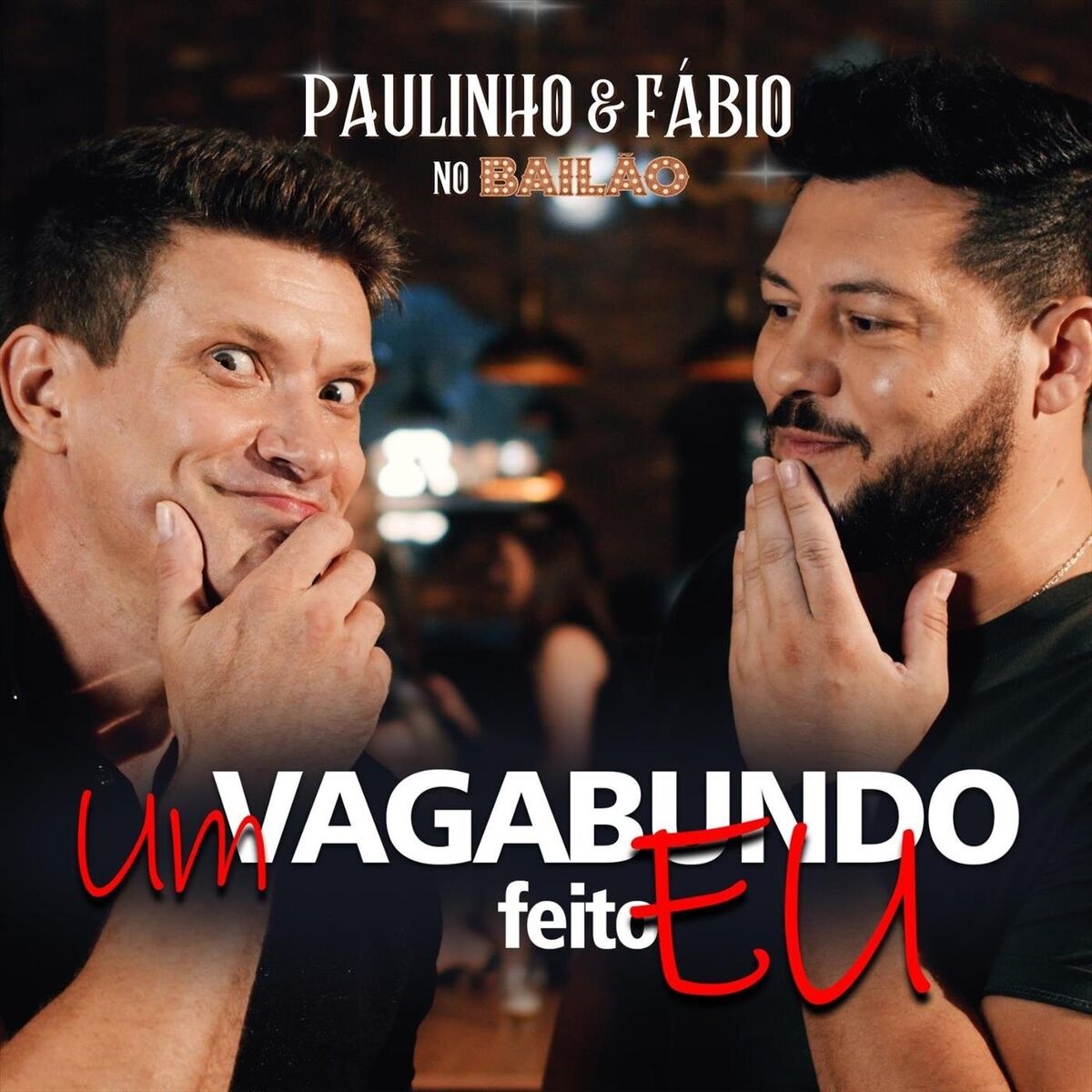 Album cover of Um Vagabundo Feito Eu
